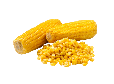 Porumb