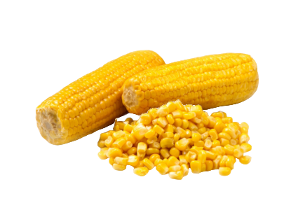 Porumb